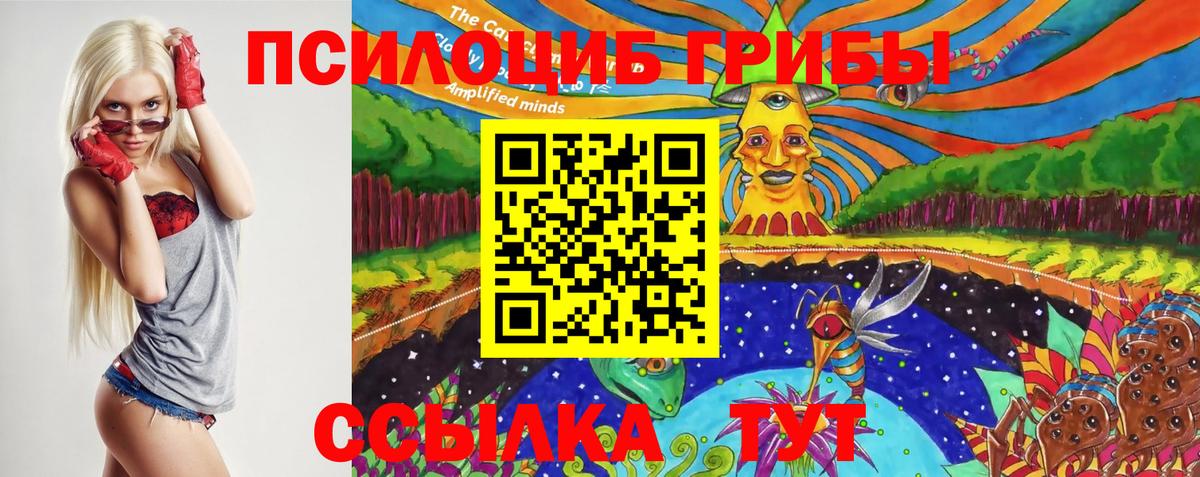 Саров  Галлюциногенные грибы GOLDEN TEACHER  Вход с VPN 